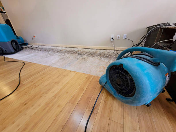 Professional Water Extraction technician working in Dorr, MI